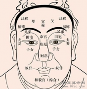 【面相十二宫】专题,面相十二宫全解(2019最新版