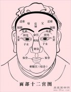 相学经典：《麻衣相法》面相十二宫图文详解大