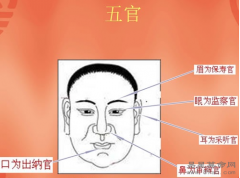 面相教学五官命运怎么看