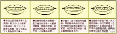 牙齿与健康,牙齿面相与命运