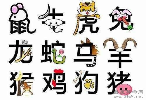 属猪人的本命佛是谁