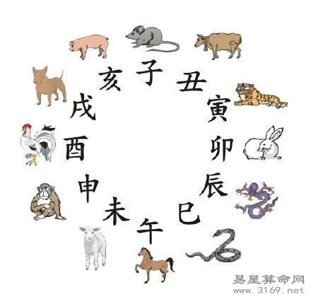 生肖属猴人流年逐月财运